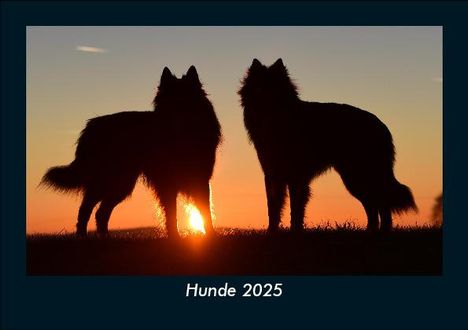 Tobias Becker: Hunde 2025 Fotokalender DIN A5, Kalender