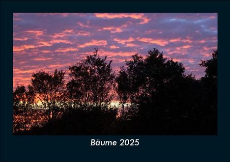 Tobias Becker: Bäume 2025 Fotokalender DIN A5, Kalender