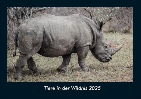 Tobias Becker: Tiere in der Wildnis 2025 Fotokalender DIN A4, Kalender