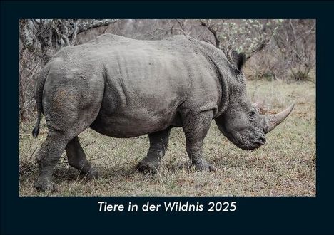 Tobias Becker: Tiere in der Wildnis 2025 Fotokalender DIN A5, Kalender