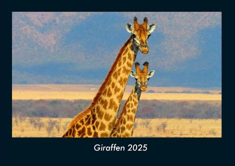 Tobias Becker: Giraffen 2025 Fotokalender DIN A4, Kalender