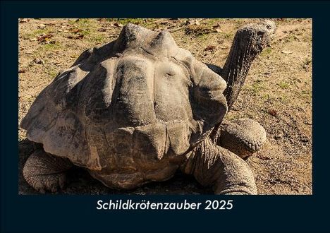 Tobias Becker: Schildkrötenzauber 2025 Fotokalender DIN A5, Kalender