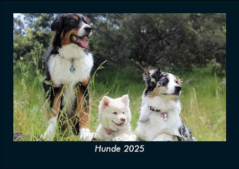 Tobias Becker: Hunde 2025 Fotokalender DIN A5, Kalender