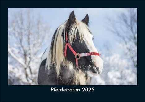 Tobias Becker: Pferdetraum 2025 Fotokalender DIN A5, Kalender