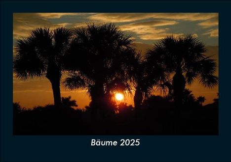 Tobias Becker: Bäume 2025 Fotokalender DIN A5, Kalender