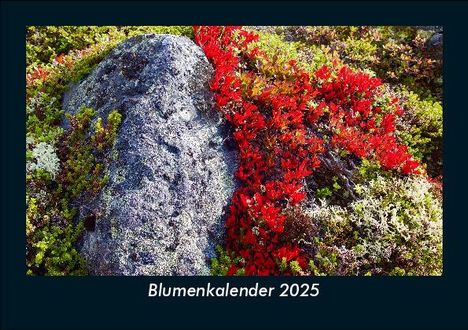 Tobias Becker: Blumenkalender 2025 Fotokalender DIN A5, Kalender