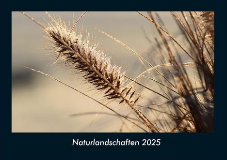 Tobias Becker: Naturlandschaften 2025 Fotokalender DIN A4, Kalender