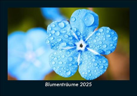 Tobias Becker: Blumenträume 2025 Fotokalender DIN A5, Kalender