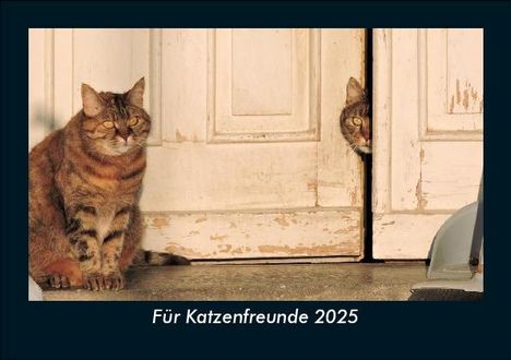 Tobias Becker: Für Katzenfreunde 2025 Fotokalender DIN A5, Kalender