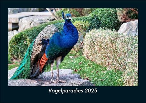 Tobias Becker: Vogelparadies 2025 Fotokalender DIN A5, Kalender