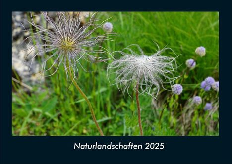 Tobias Becker: Naturlandschaften 2025 Fotokalender DIN A4, Kalender