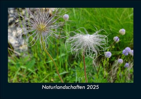 Tobias Becker: Naturlandschaften 2025 Fotokalender DIN A5, Kalender