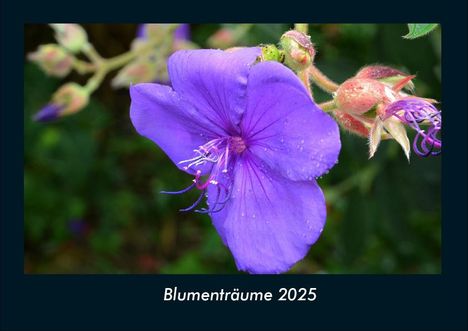 Tobias Becker: Blumenträume 2025 Fotokalender DIN A4, Kalender