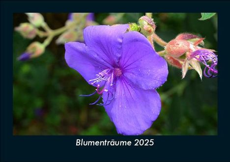 Tobias Becker: Blumenträume 2025 Fotokalender DIN A5, Kalender