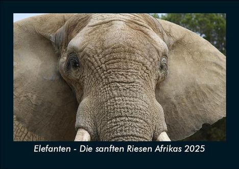 Tobias Becker: Elefanten - Die sanften Riesen Afrikas 2025 Fotokalender DIN A5, Kalender