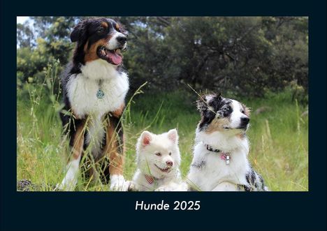 Tobias Becker: Hunde 2025 Fotokalender DIN A4, Kalender