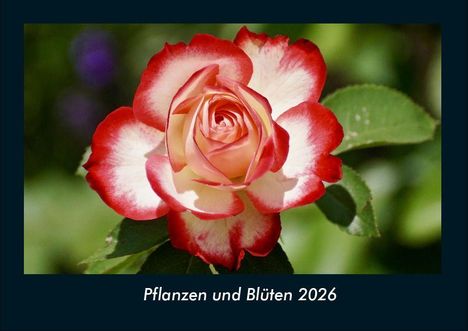 Tobias Becker: Pflanzen und Blüten 2026 Fotokalender DIN A4, Kalender