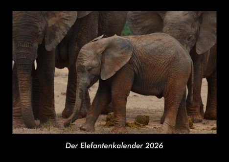 Tobias Becker: Der Elefantenkalender 2026 Fotokalender DIN A3, Kalender