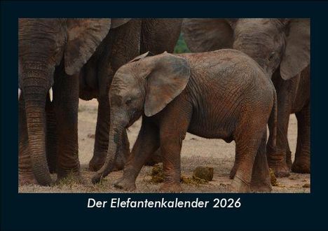 Tobias Becker: Der Elefantenkalender 2026 Fotokalender DIN A5, Kalender
