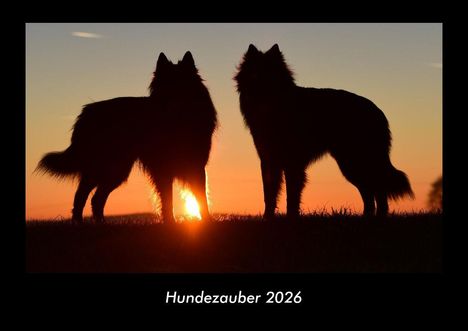 Tobias Becker: Hundezauber 2026 Fotokalender DIN A3, Kalender