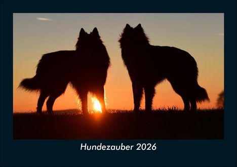 Kevin Heber: Hundezauber 2026 Fotokalender DIN A5, Kalender
