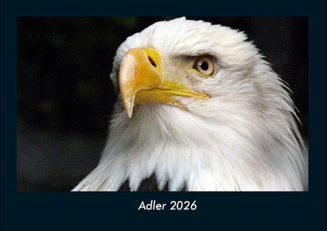 Tobias Becker: Adler 2026 Fotokalender DIN A4, Kalender