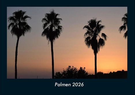 Tobias Becker: Palmen 2026 Fotokalender DIN A4, Kalender