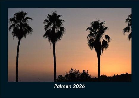 Tobias Becker: Palmen 2026 Fotokalender DIN A5, Kalender