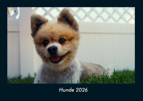 Tobias Becker: Schmitt, T: Hunde 2026 Fotokalender DIN A4, Kalender