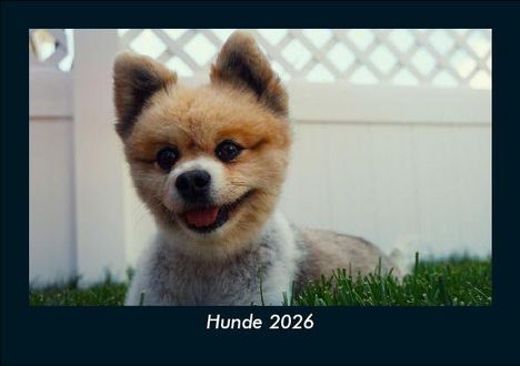 Tobias Becker: Hunde 2026 Fotokalender DIN A5, Kalender