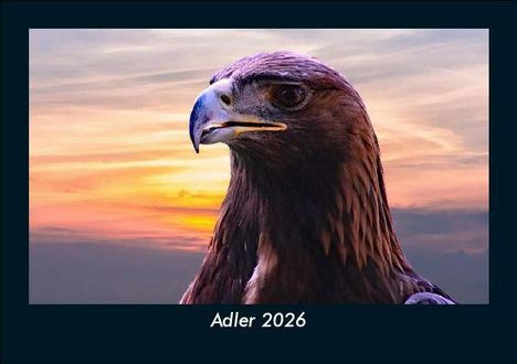 Tobias Becker: Adler 2026 Fotokalender DIN A5, Kalender