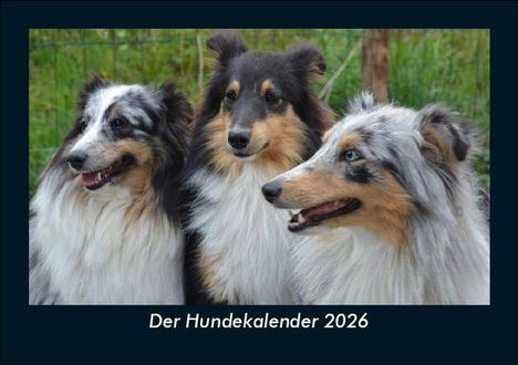 Tobias Becker: Der Hundekalender 2026 Fotokalender DIN A5, Kalender