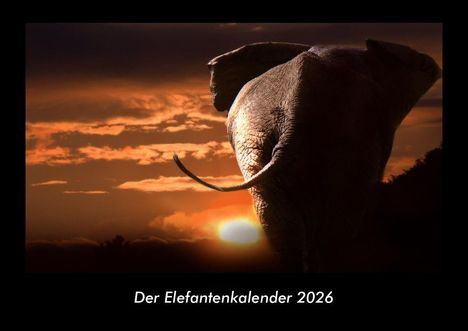 Tobias Becker: Der Elefantenkalender 2026 Fotokalender DIN A3, Kalender