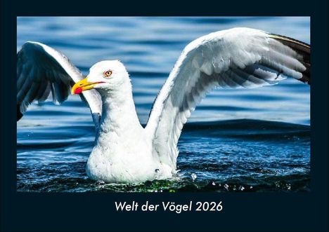 Tobias Becker: Welt der Vögel 2026 Fotokalender DIN A4, Kalender