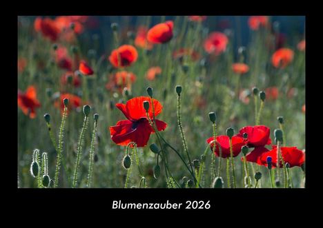 Tobias Becker: Blumenzauber 2026 Fotokalender DIN A3, Kalender