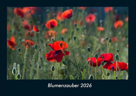 Tobias Becker: Blumenzauber 2026 Fotokalender DIN A4, Kalender