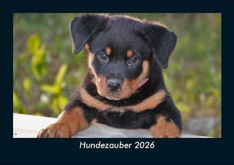 Tobias Becker: Hundezauber 2026 Fotokalender DIN A5, Kalender