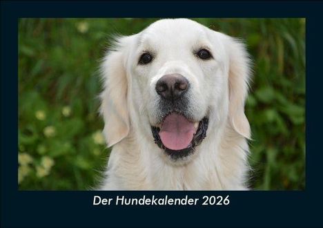 Tobias Becker: Der Hundekalender 2026 Fotokalender DIN A5, Kalender