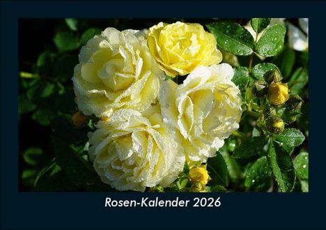 Tobias Becker: Rosen-Kalender 2026 Fotokalender DIN A5, Kalender