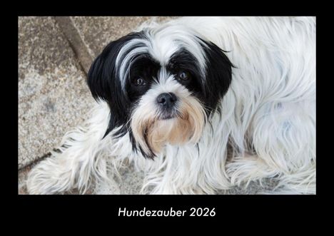 Kevin Heber: Hundezauber 2026 Fotokalender DIN A3, Kalender