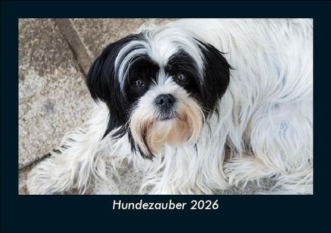 Tobias Becker: Hundezauber 2026 Fotokalender DIN A5, Kalender
