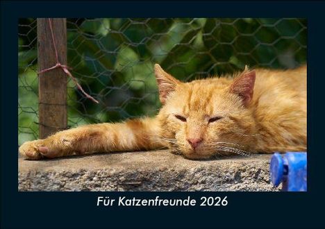 Tobias Becker: Für Katzenfreunde 2026 Fotokalender DIN A5, Kalender
