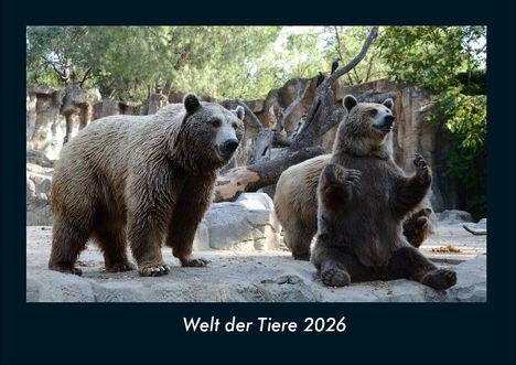 Tobias Becker: Welt der Tiere 2026 Fotokalender DIN A4, Kalender
