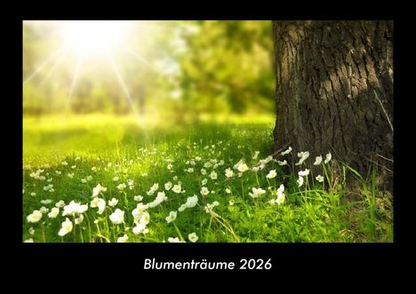 Tobias Becker: Blumenträume 2026 Fotokalender DIN A3, Kalender