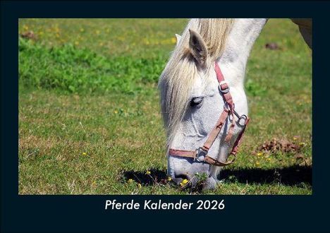 Tobias Becker: Pferde Kalender 2026 Fotokalender DIN A5, Kalender