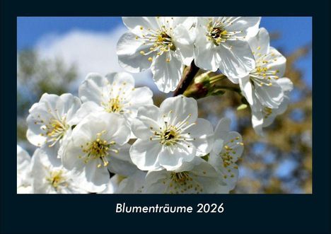 Tobias Becker: Blumenträume 2026 Fotokalender DIN A4, Kalender