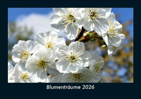 Tobias Becker: Blumenträume 2026 Fotokalender DIN A5, Kalender