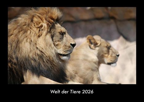 Tobias Becker: Welt der Tiere 2026 Fotokalender DIN A3, Kalender