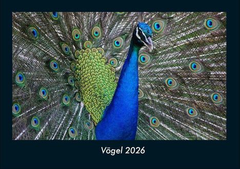 Tobias Becker: Vögel 2026 Fotokalender DIN A4, Kalender
