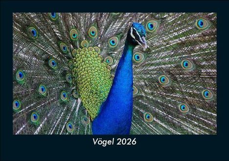 Tobias Becker: Vögel 2026 Fotokalender DIN A5, Kalender